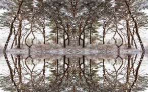 Wie Sie in Photoshop schnell ein faszinierendes Kaleidoskop erzeugen
