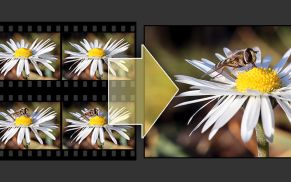 Wie Sie in Photoshop blitzschnell Einzelfotos aus digitalen Videos extrahieren