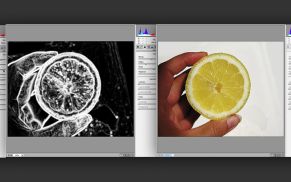 Details schützen trotz Komprimierung: Wie Sie JPEG-Bilder für das Web in Photoshop gezielt schärfen