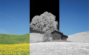 Wie Sie in Photoshop ein Infrarotbild simulieren und ein Bild mit Falschfarbenlook ableiten